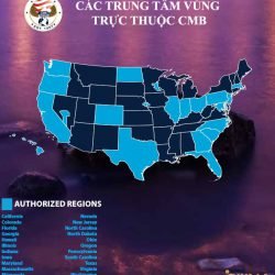 Các trung tâm vùng trực thuộc CMB